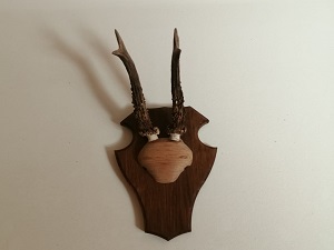 Кватэра MARKÓWKA 04